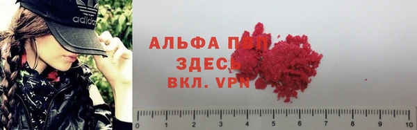 крисы Белоозёрский