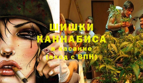 крисы Белоозёрский