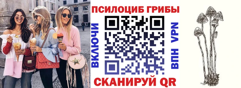 магазин    Пионерский  ОМГ ОМГ tor  Псилоцибиновые грибы MAGIC MUSHROOMS 